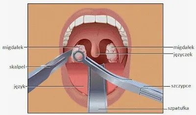 Lilianna U. Lechowicz, Pryw. gab. laryngologiczny, specjalista foniatra, laryngolog